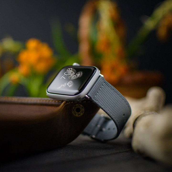 Apple Watch Nylon Watch Band - Gray/Stainless